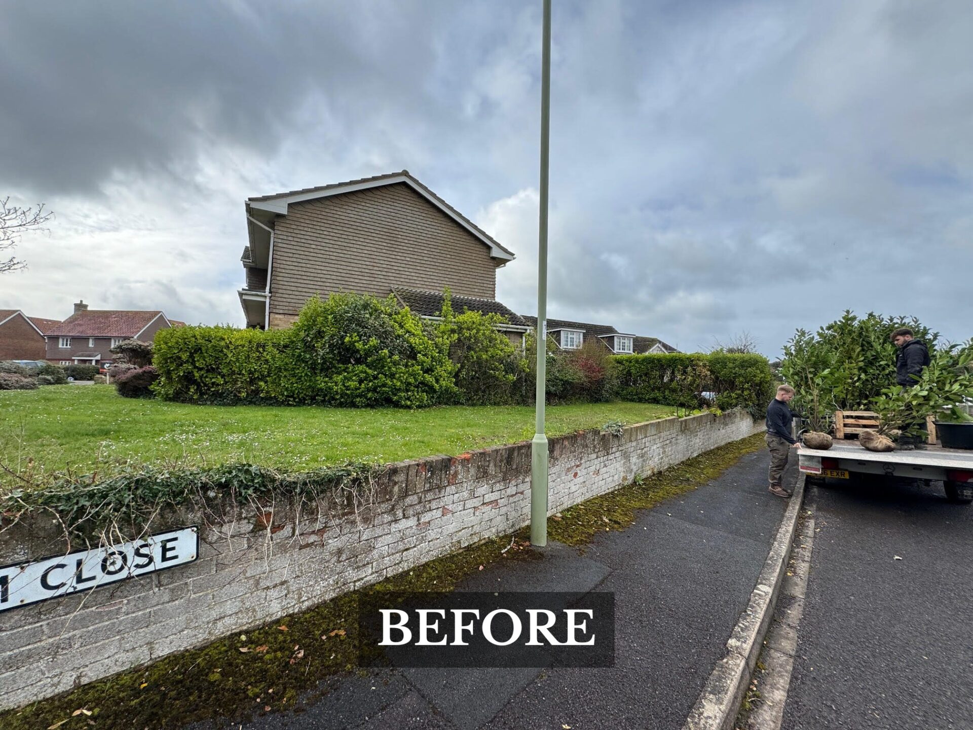 Hedge Planting Milford upon Sea before image