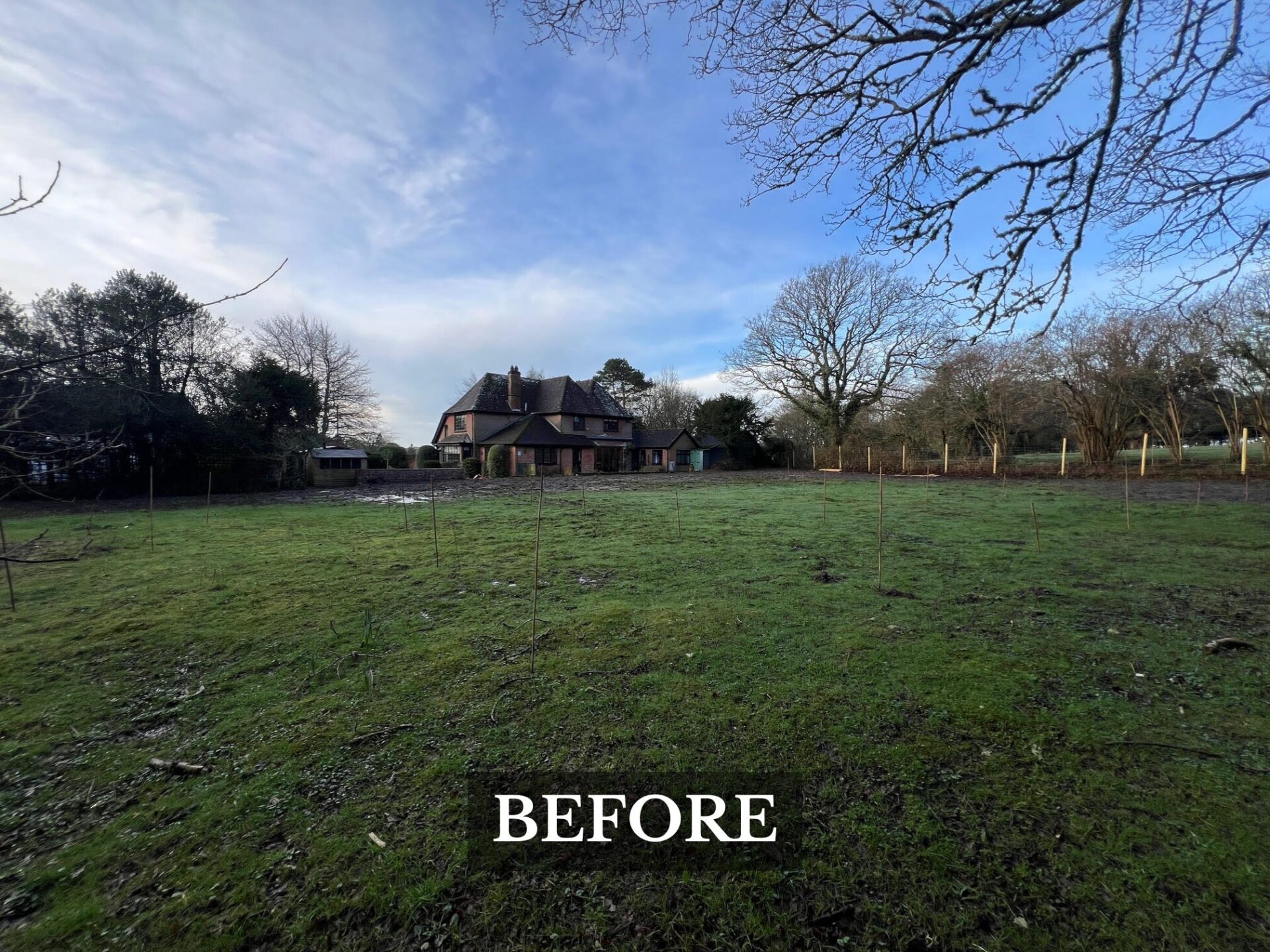 Plant Orchard - Burley