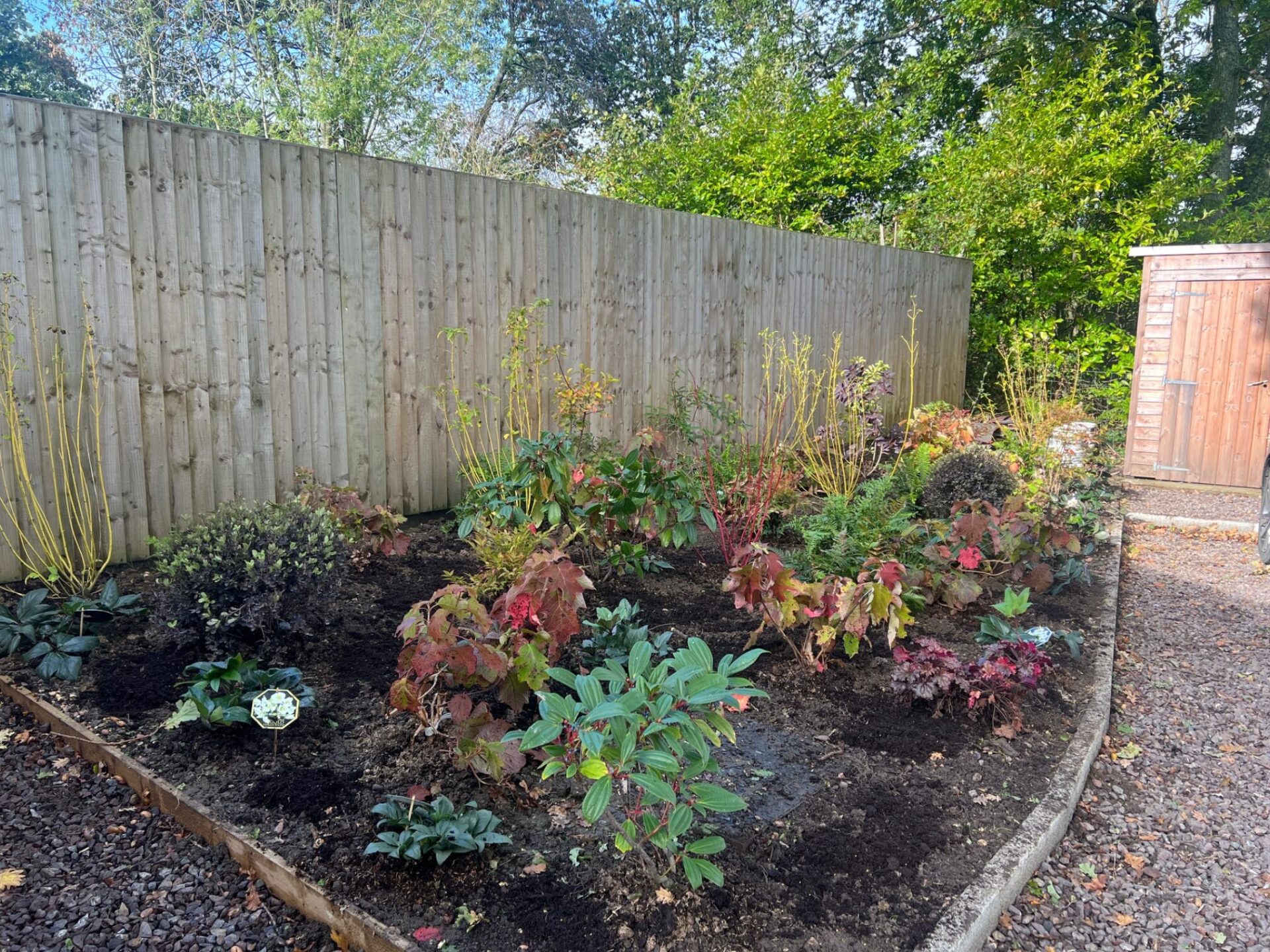 Border Planting - Sway, Hampshire, New Forest