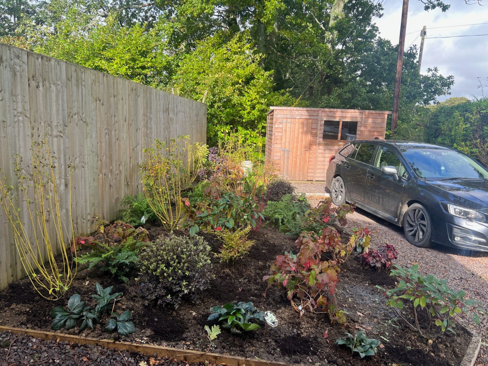 Border Planting Sway, New Forest