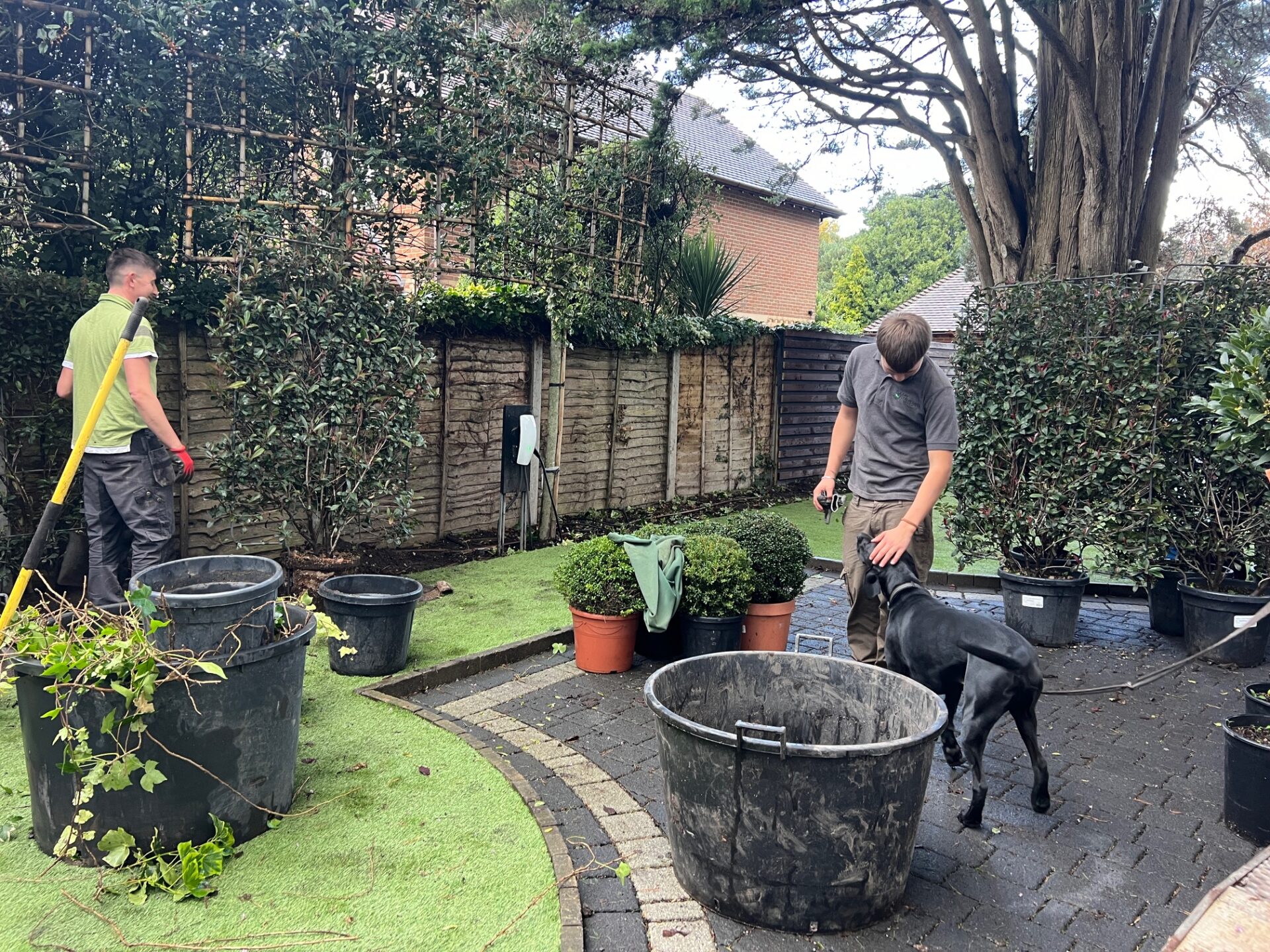 Canford Cliffs Poole Planting Service 1 1