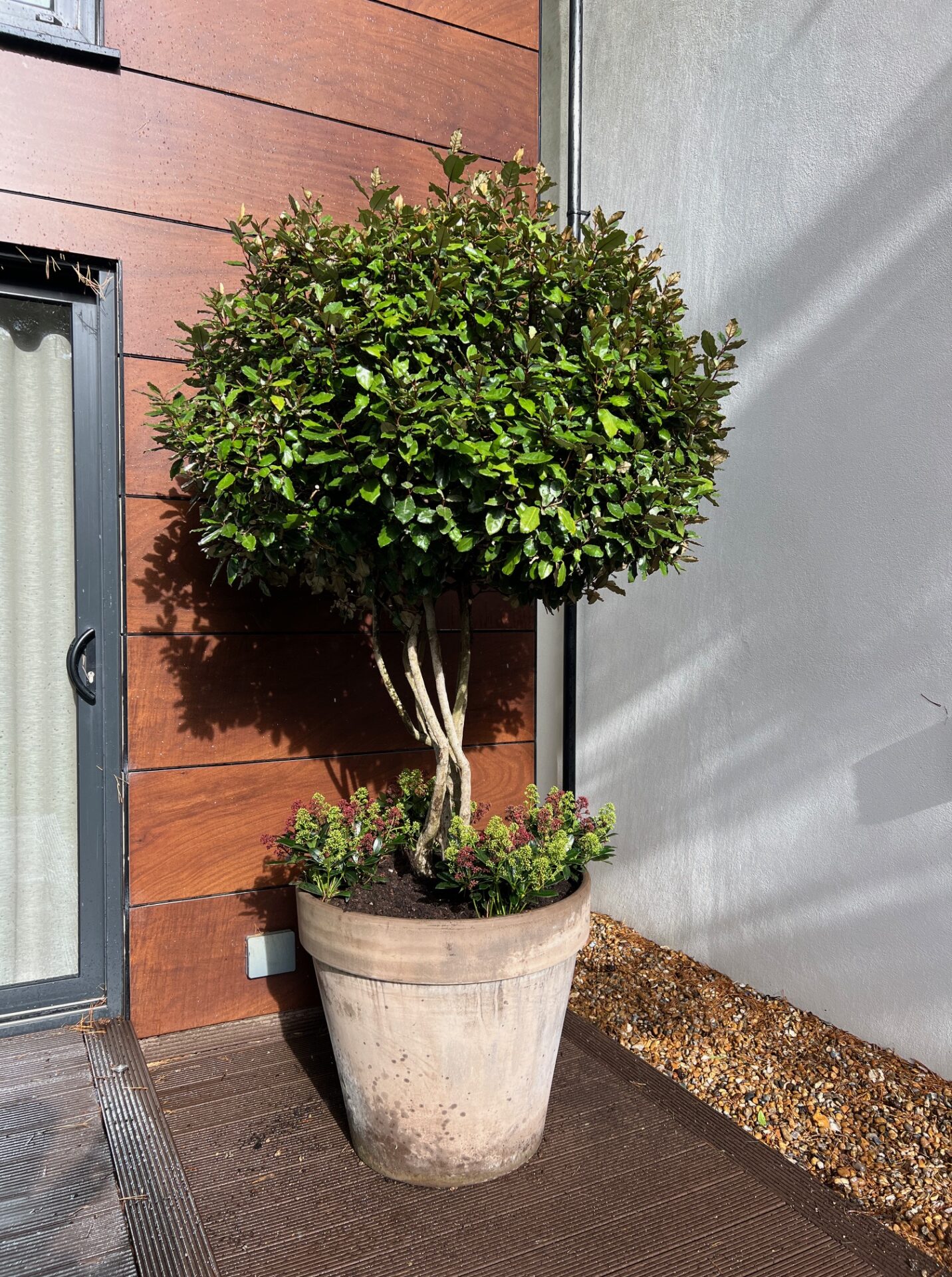 Canford Cliffs Poole Planting Service 4 1