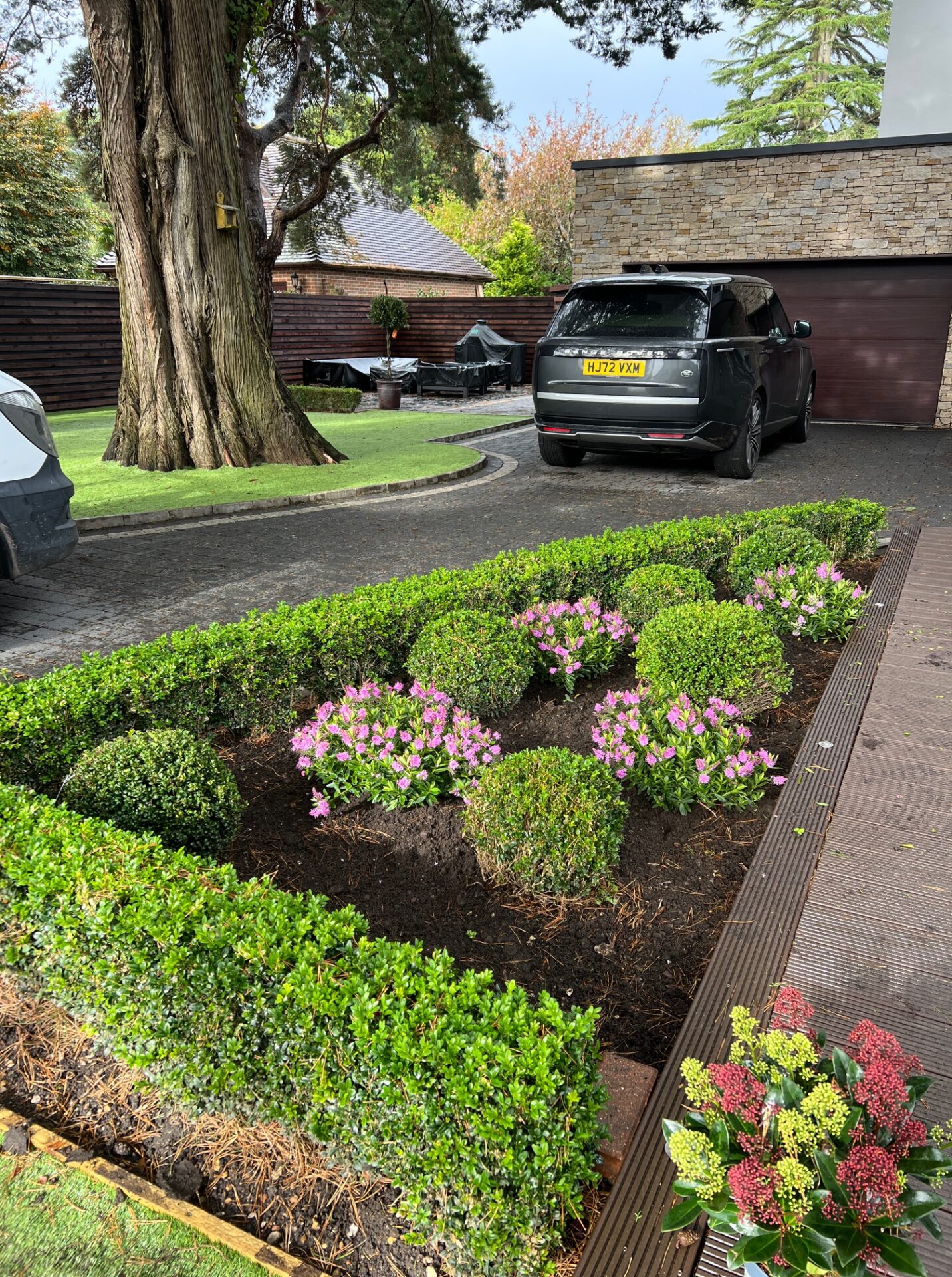 Hedge Planting Milford upon Sea before image