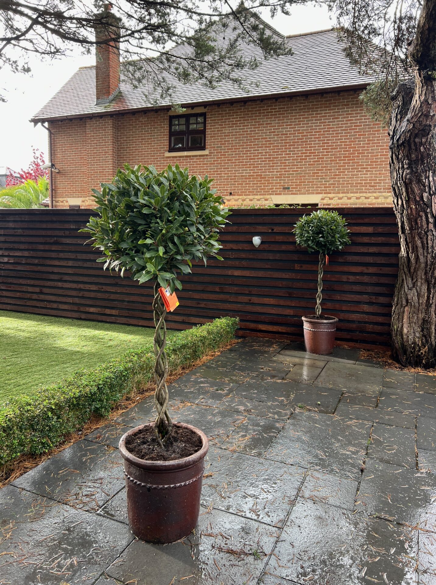 Canford Cliffs Poole Planting Service 6 1