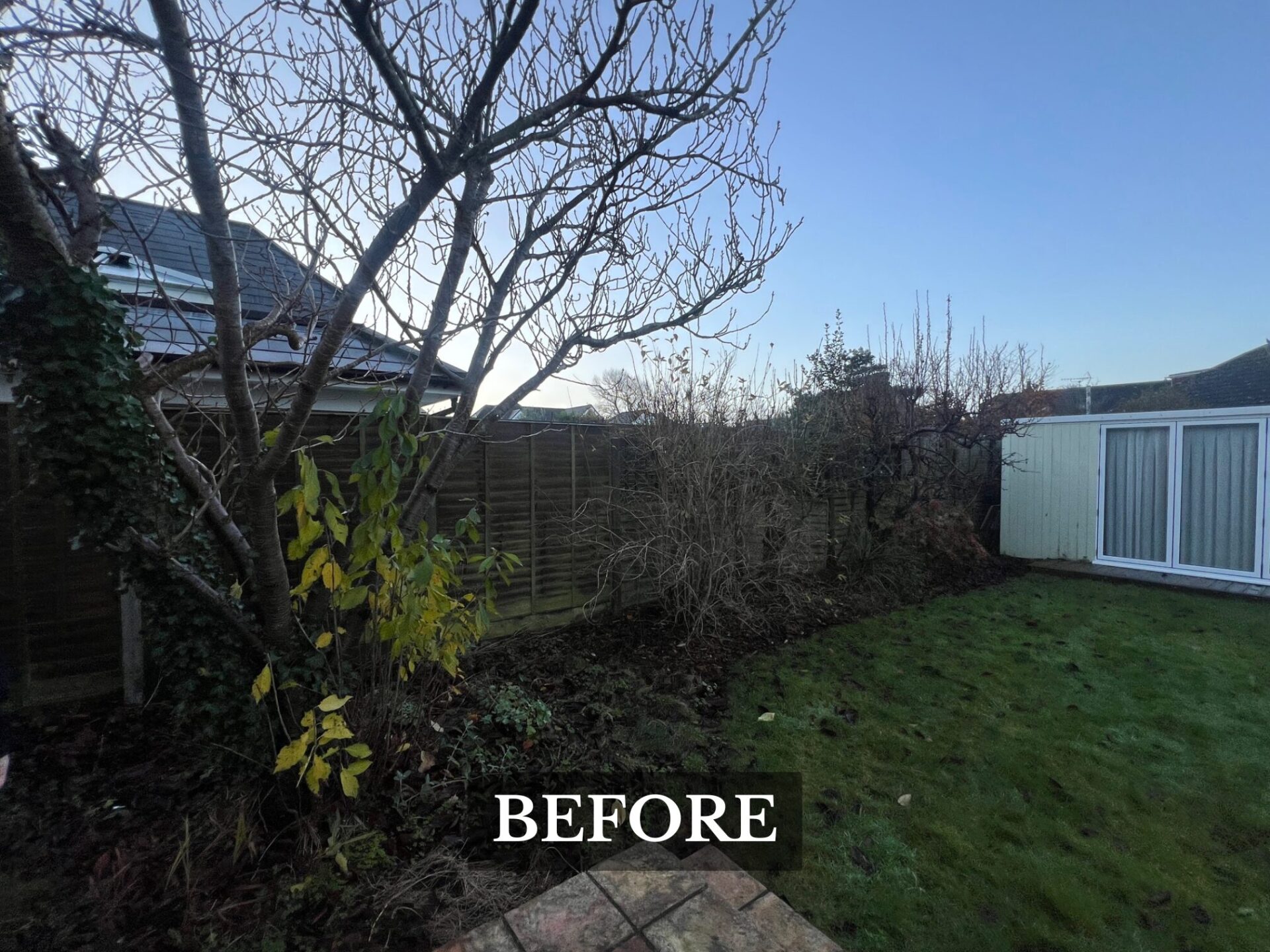 Pleached Tree Planting Service Southbourne, Dorset