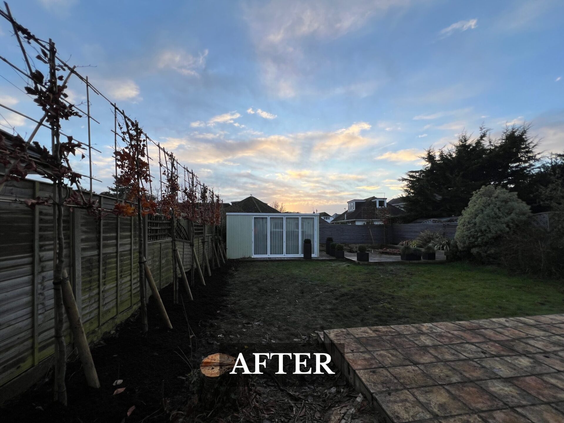 Pleached Tree Planting Service Southbourne, Dorset