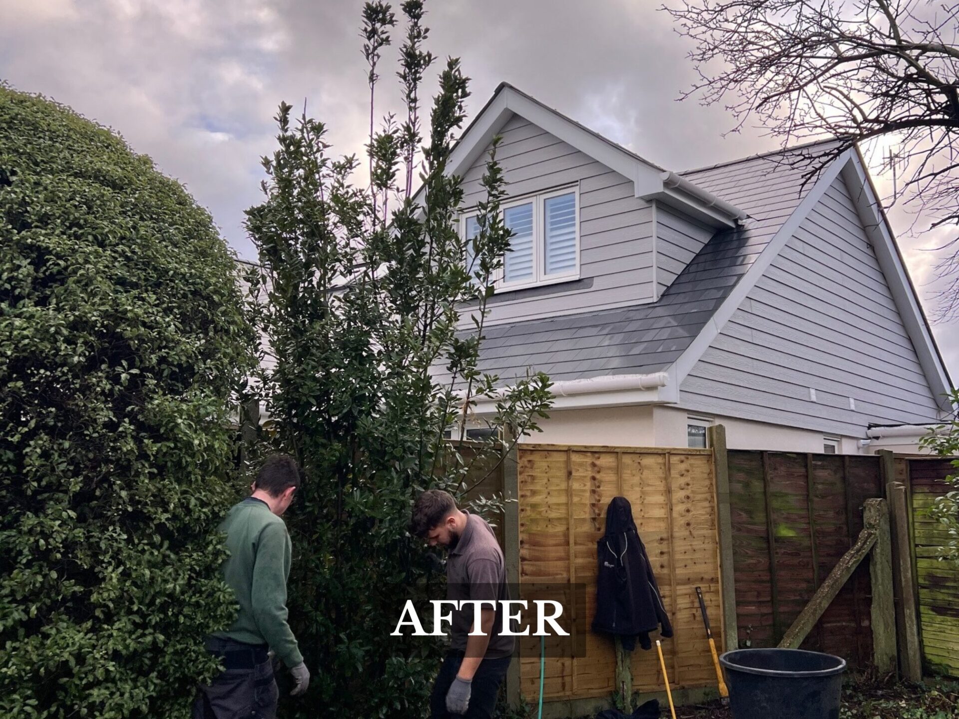 Hedge Planting - Milford on Sea