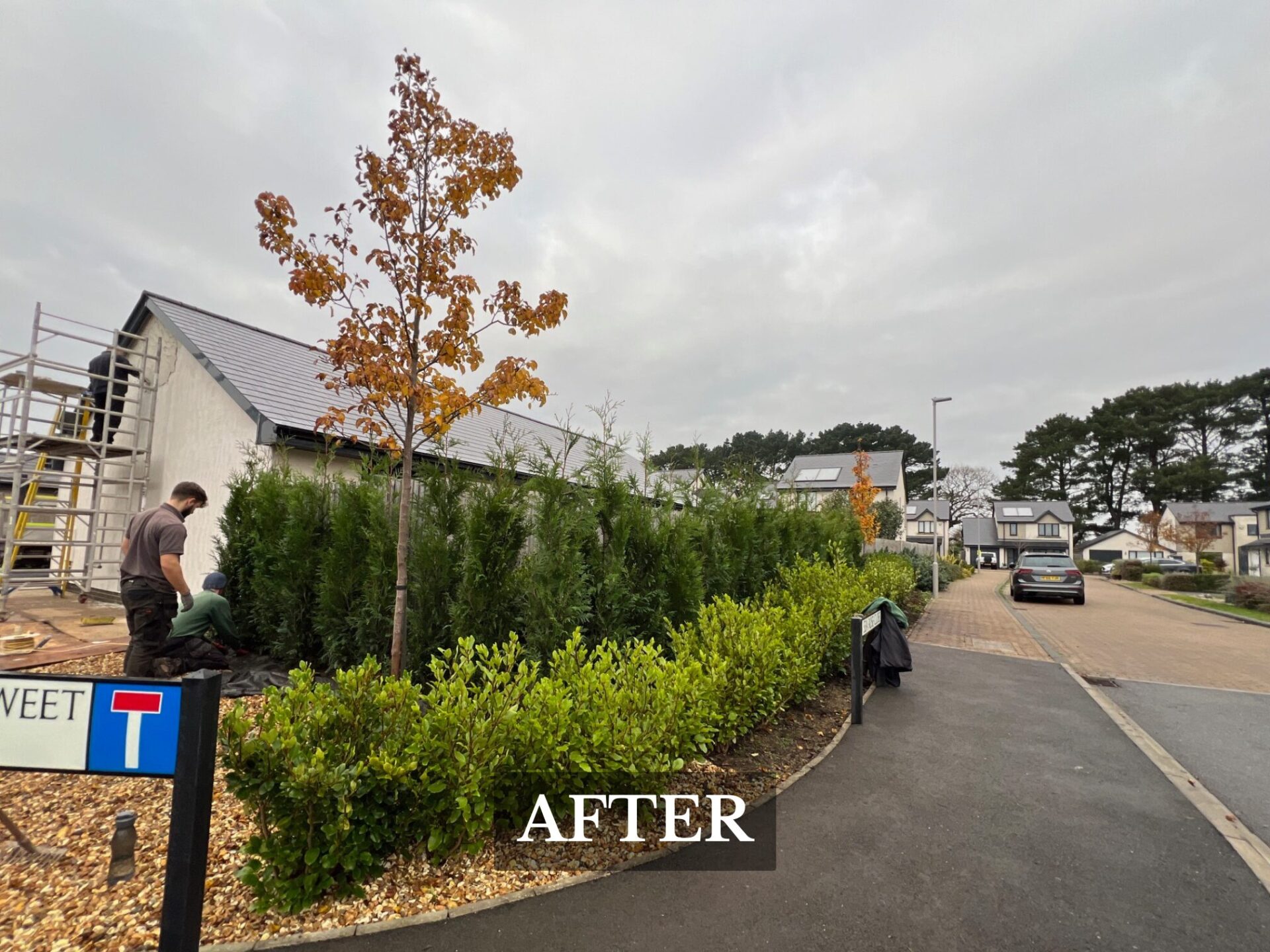 Hedging Christchurch after photo