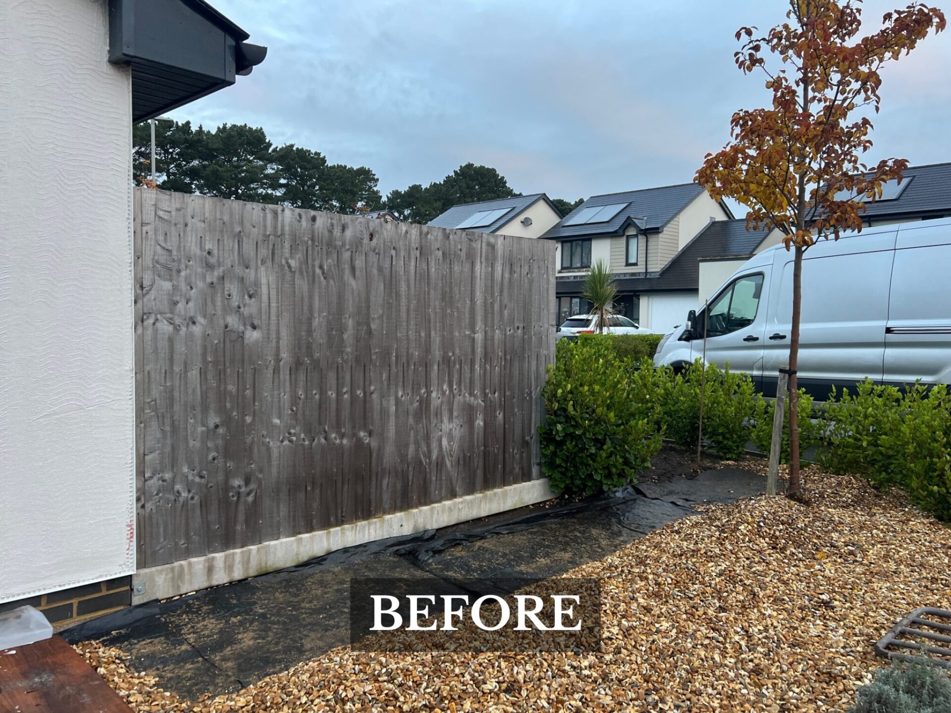 Hedge Planting Milford upon Sea before image