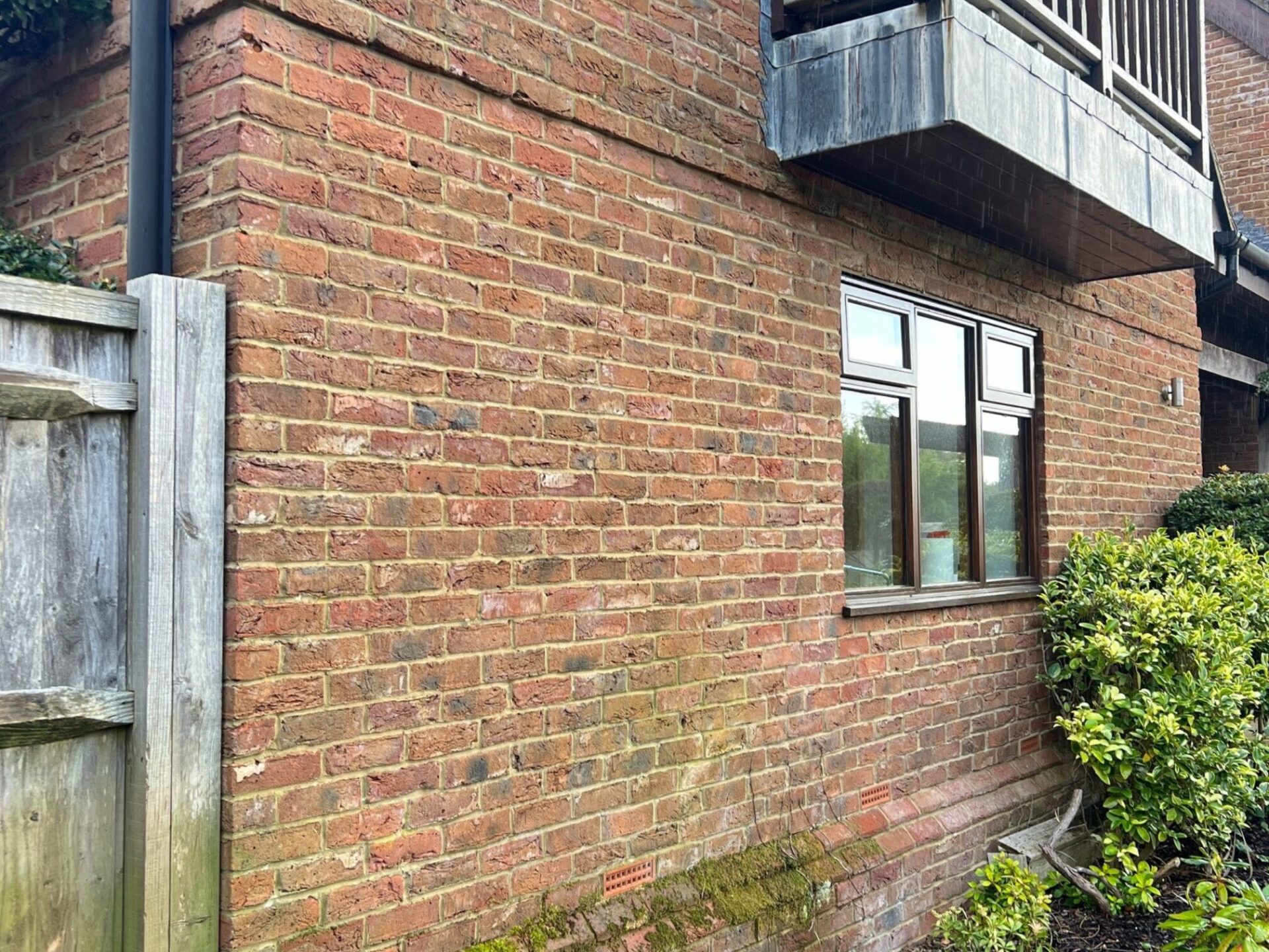 Jasmine Panel Hedge Planting Service - Boldre, Hampshire