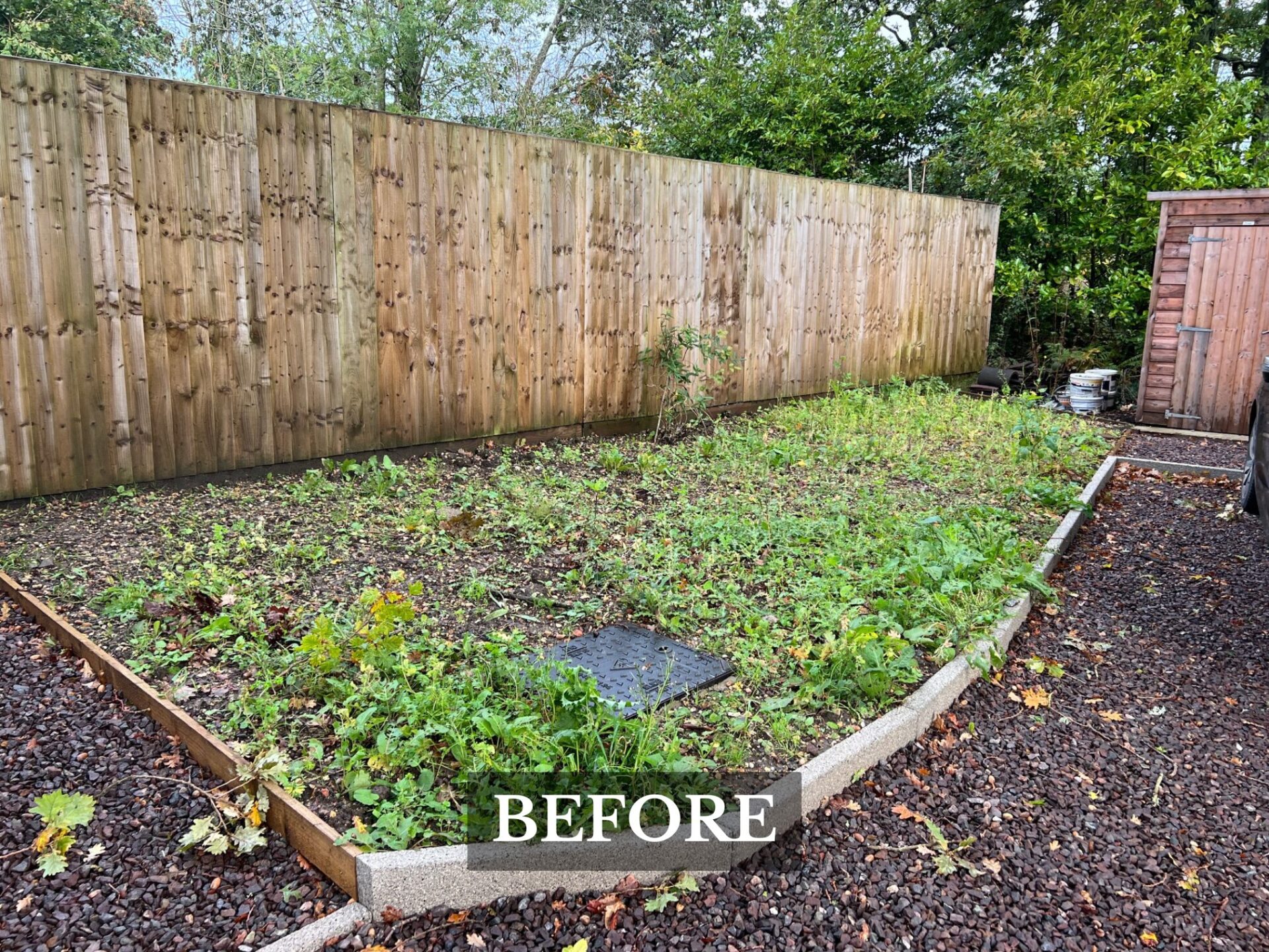 Hedge Planting Milford upon Sea before image