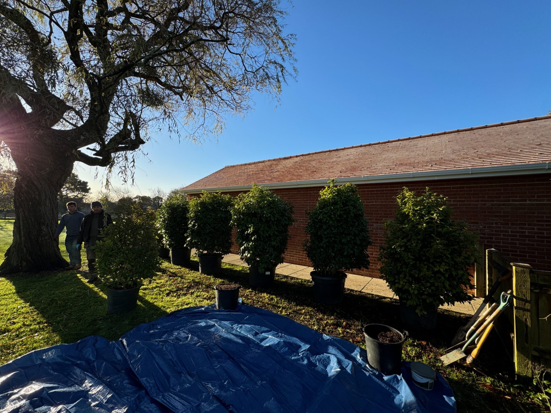 Lyminghton Screening Project (3)