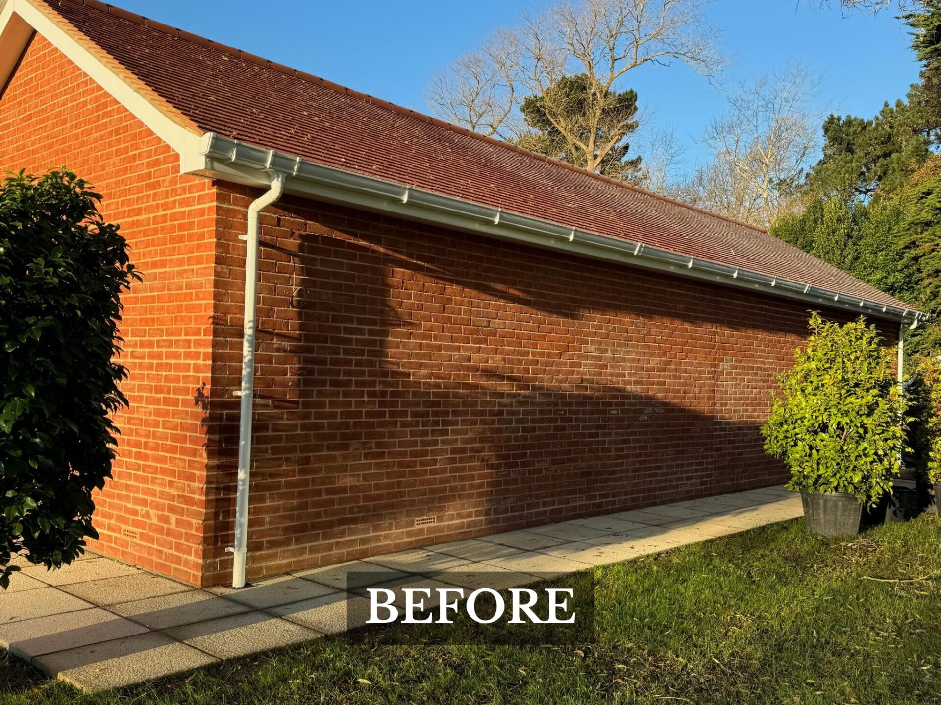 Hedge Planting Milford upon Sea before image