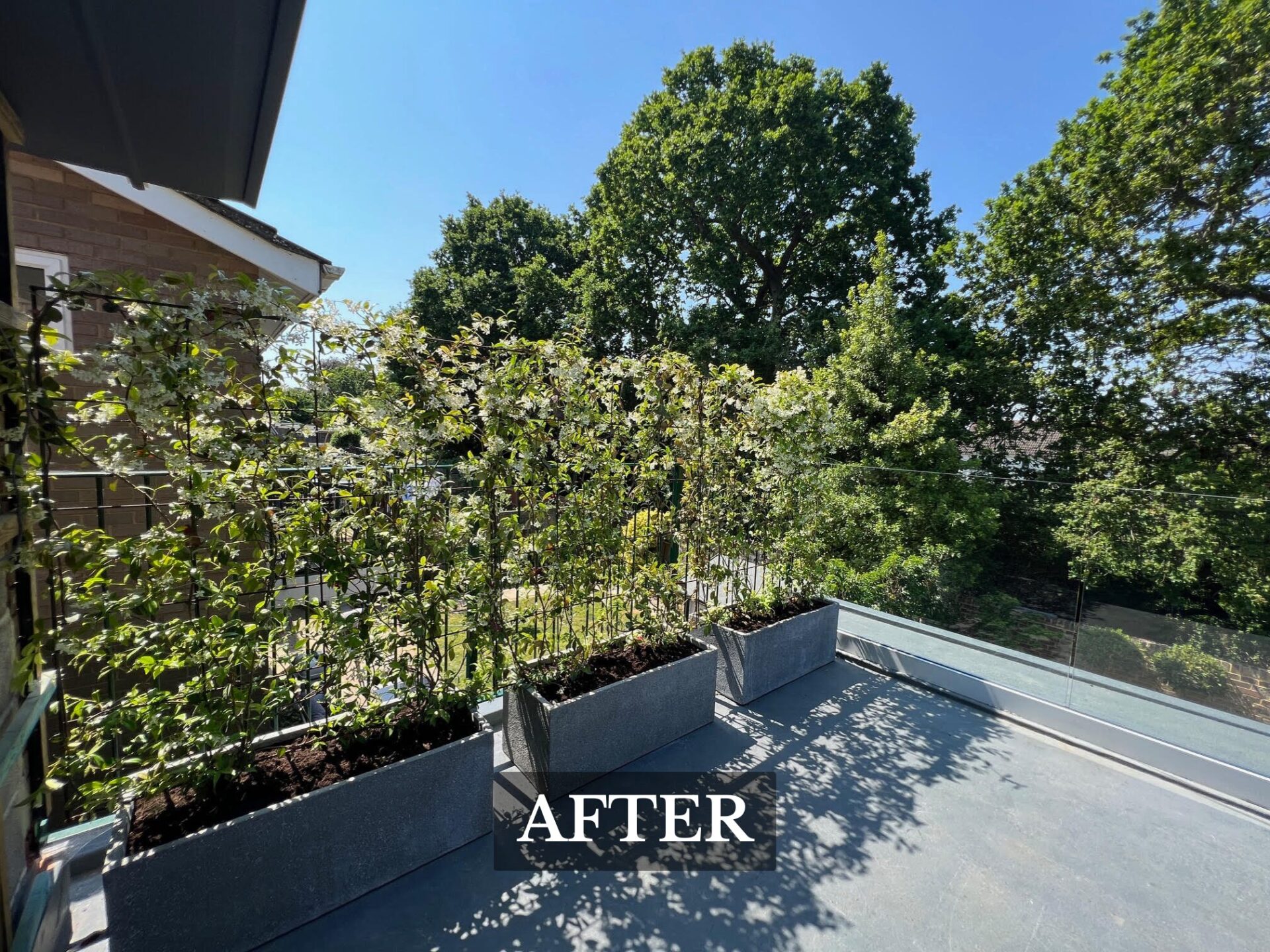 Bespoke Jasmine Panels for Screening - Highcliffe, Dorset 2