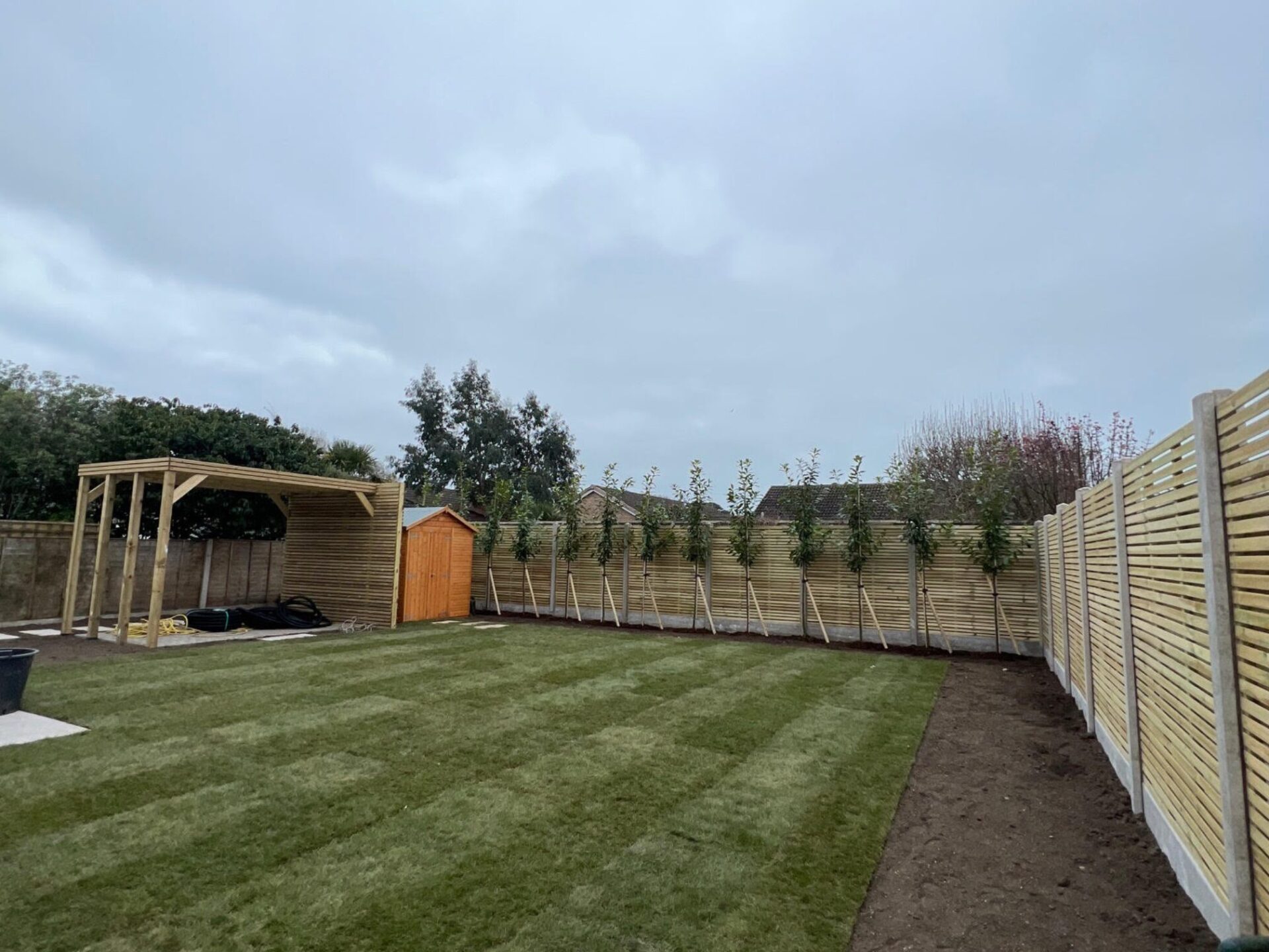 Border Planting - Sway, New Forest