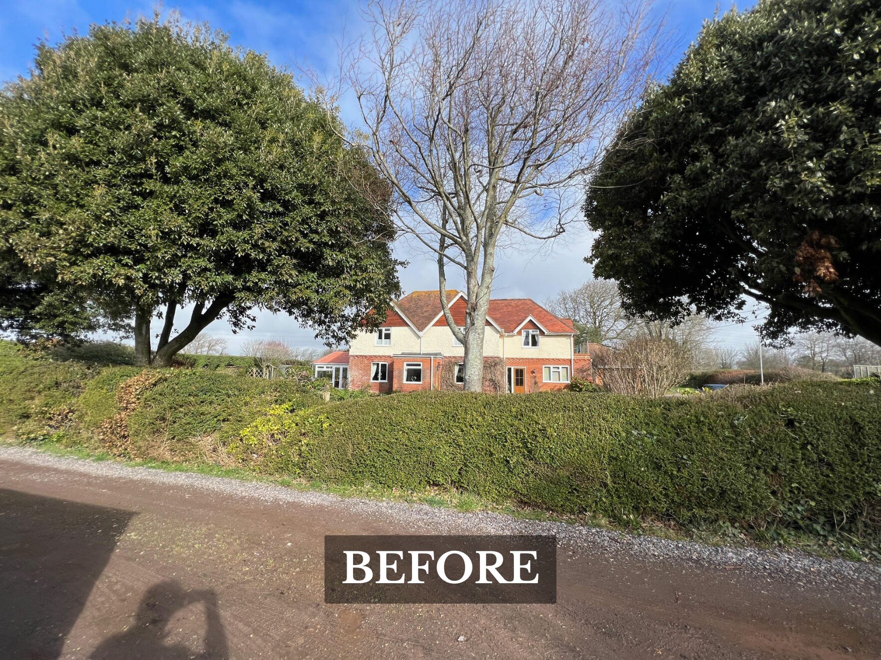 Hedge Removal Everton