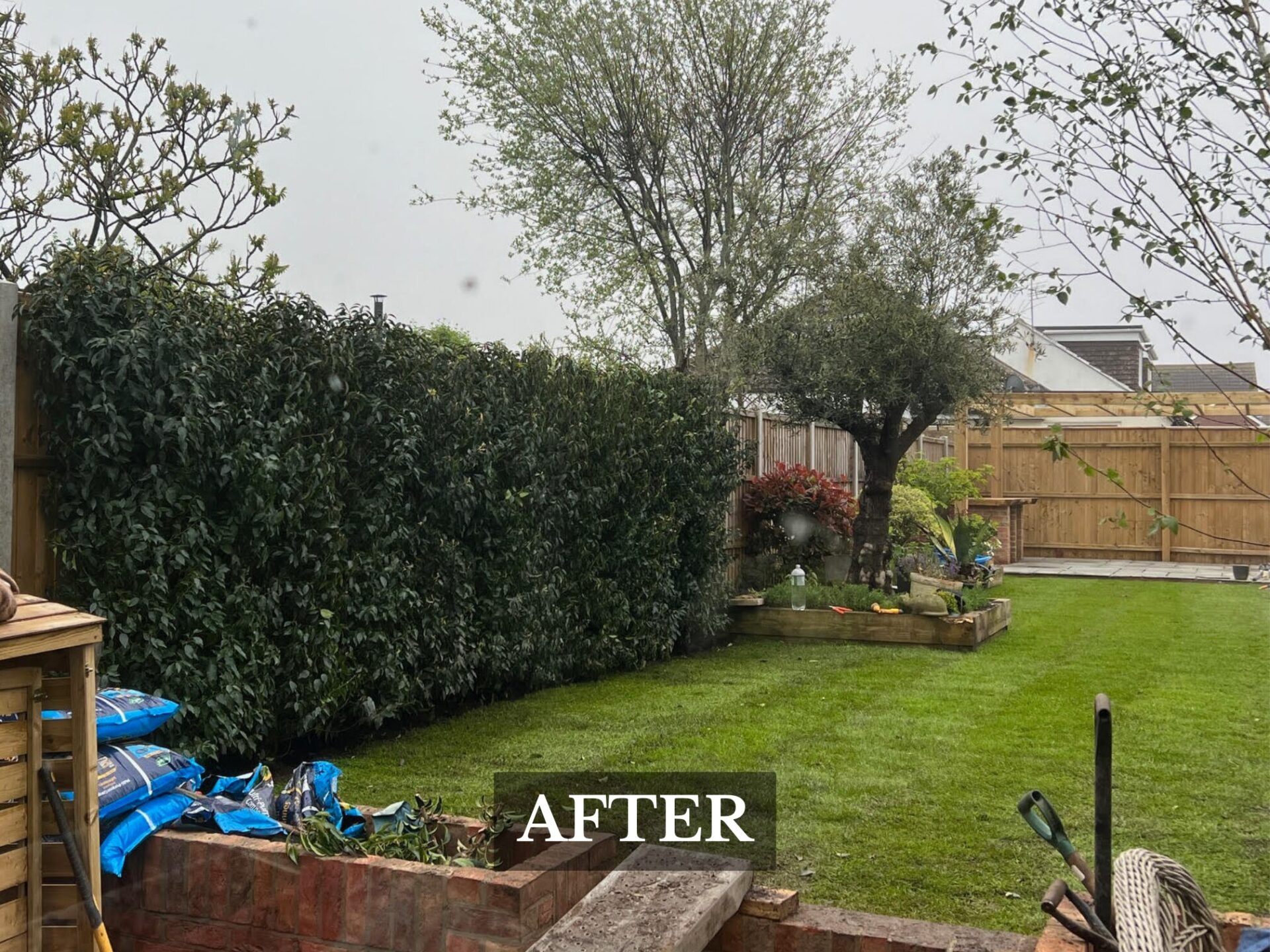 Hedge Removal Everton, hampshire