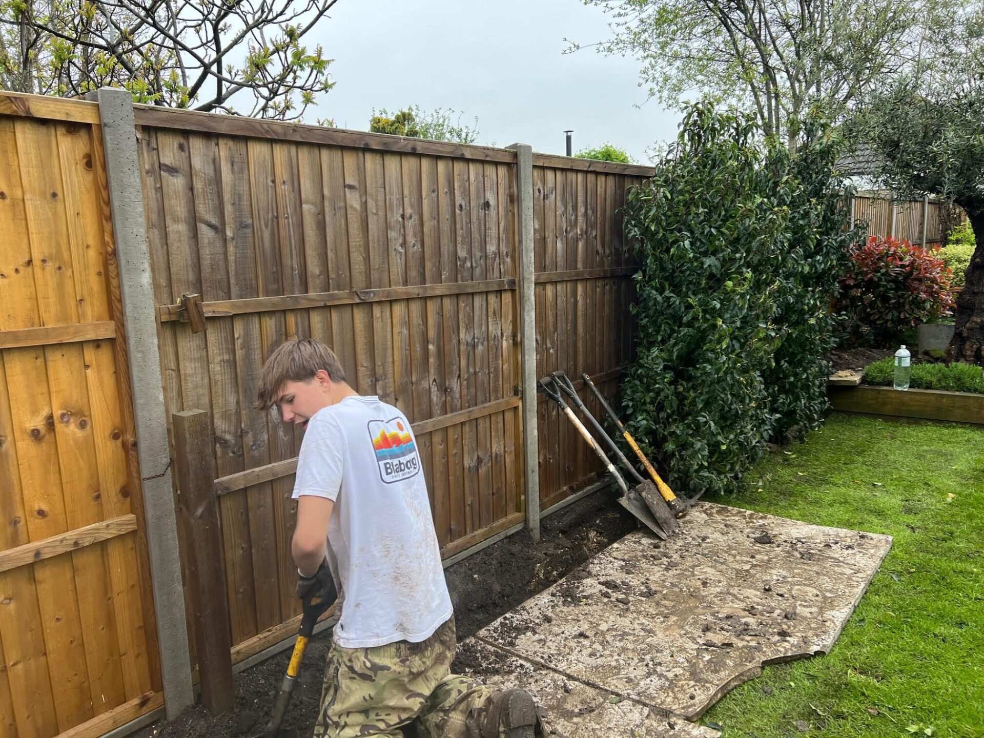 Hedge Removal Everton, hampshire 2