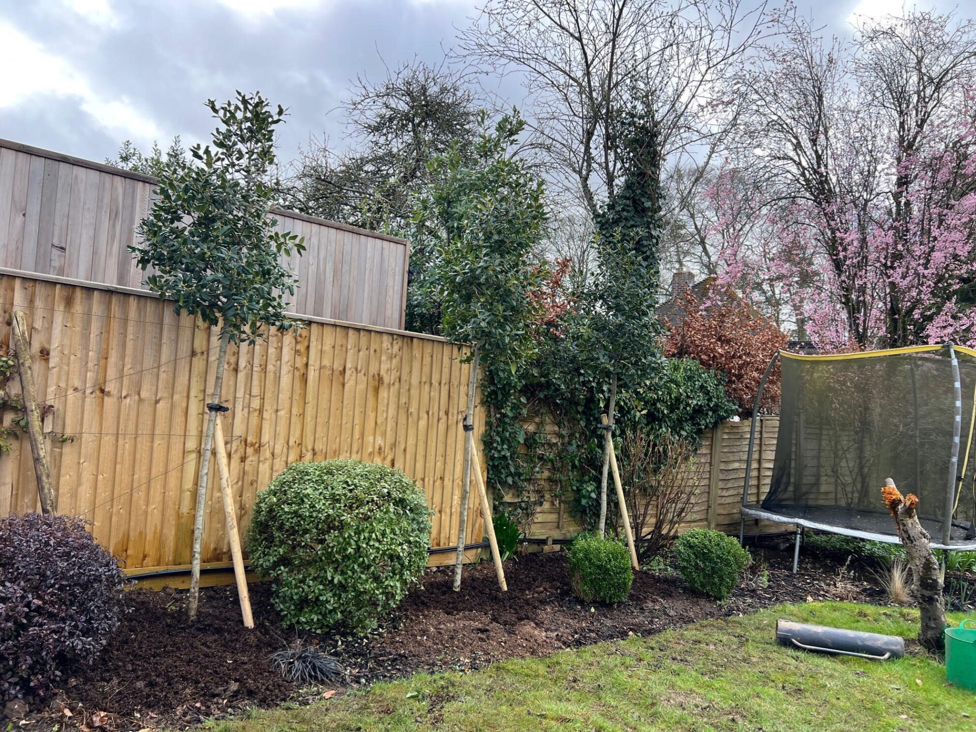 Tree Planting in Winchester, Hampshire 2