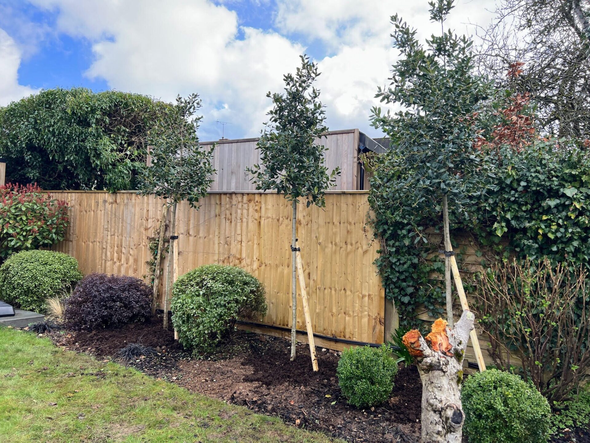 Tree Planting in Winchester, Hampshire 3
