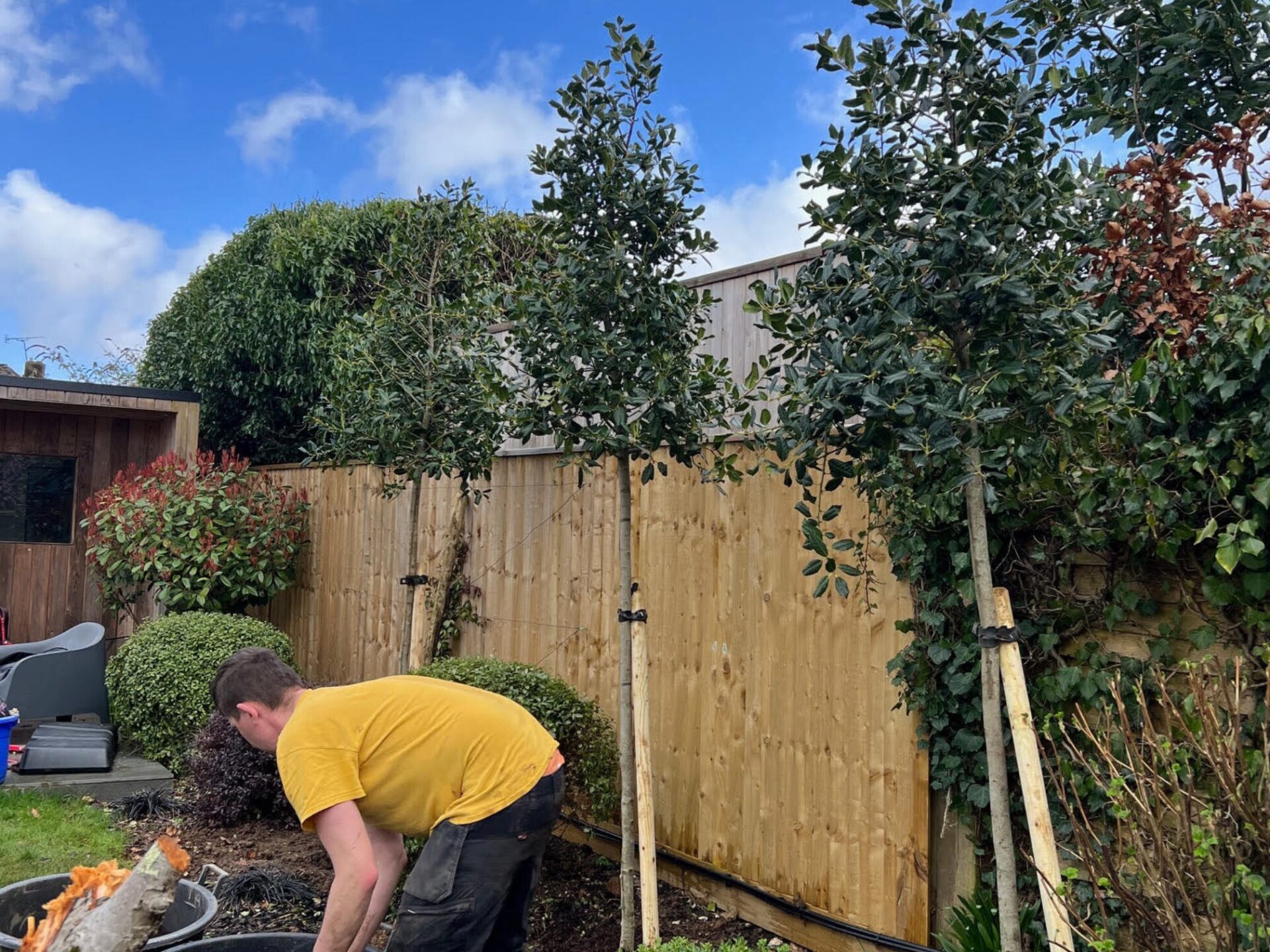 Tree Planting in Winchester, Hampshire