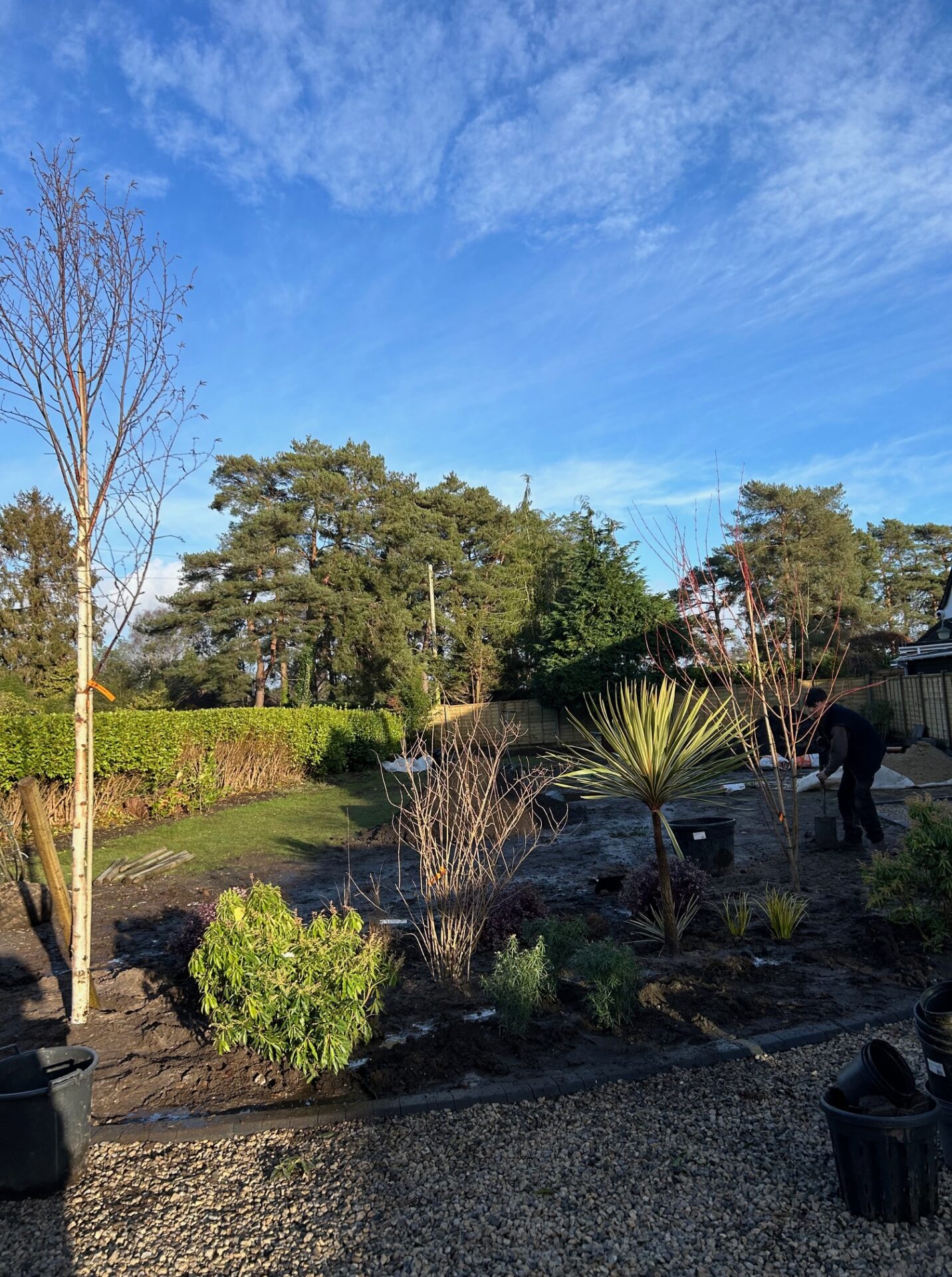 Hedge Removal Everton, hampshire